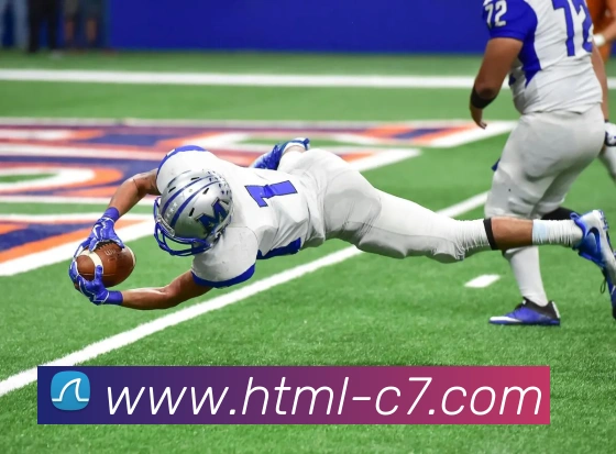 App Interface Preview