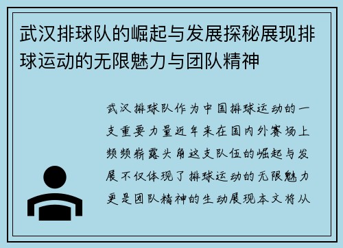 武汉排球队的崛起与发展探秘展现排球运动的无限魅力与团队精神